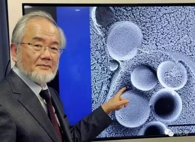 我们疯狂地抢房子，他们在疯狂布局未来！机器人赫然在列！