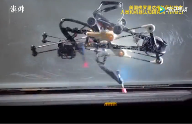 其他机器人还在学怎么走路，这只机器鸵鸟已能蒙眼狂奔 ！