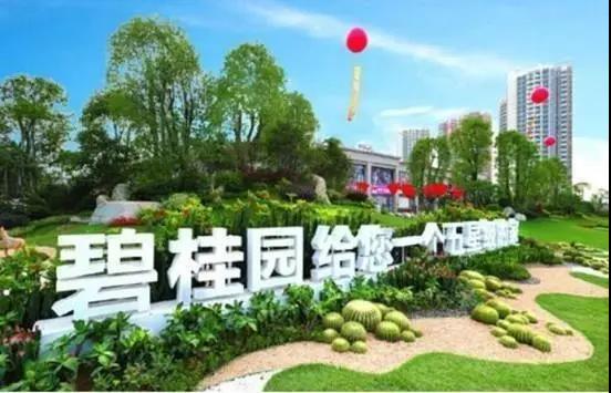 碧桂园的机器人王国之梦